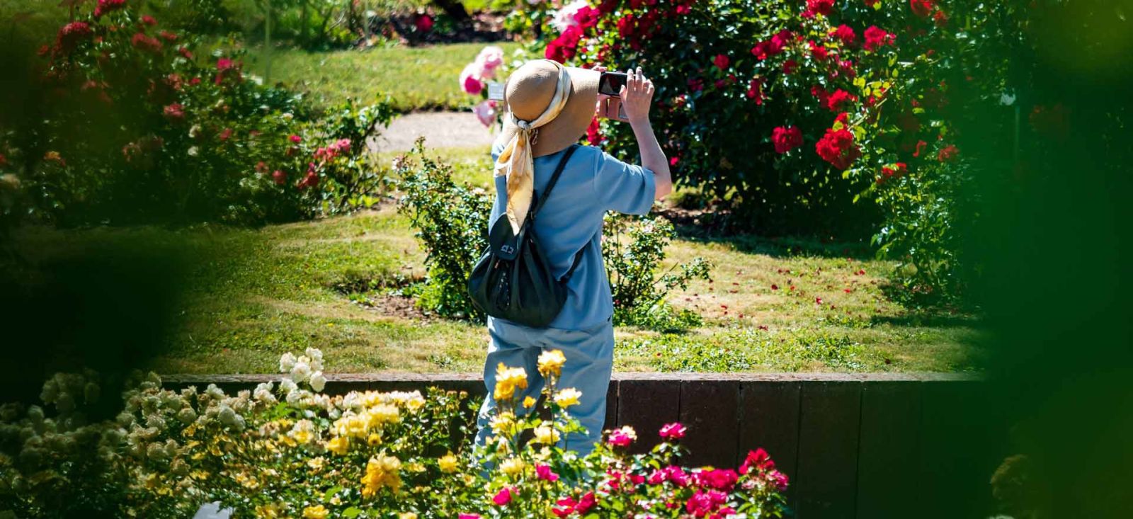 tourhub | Riviera Travel | Gardens and Natural Beauty of the Rhine - MS Emily Brontë 