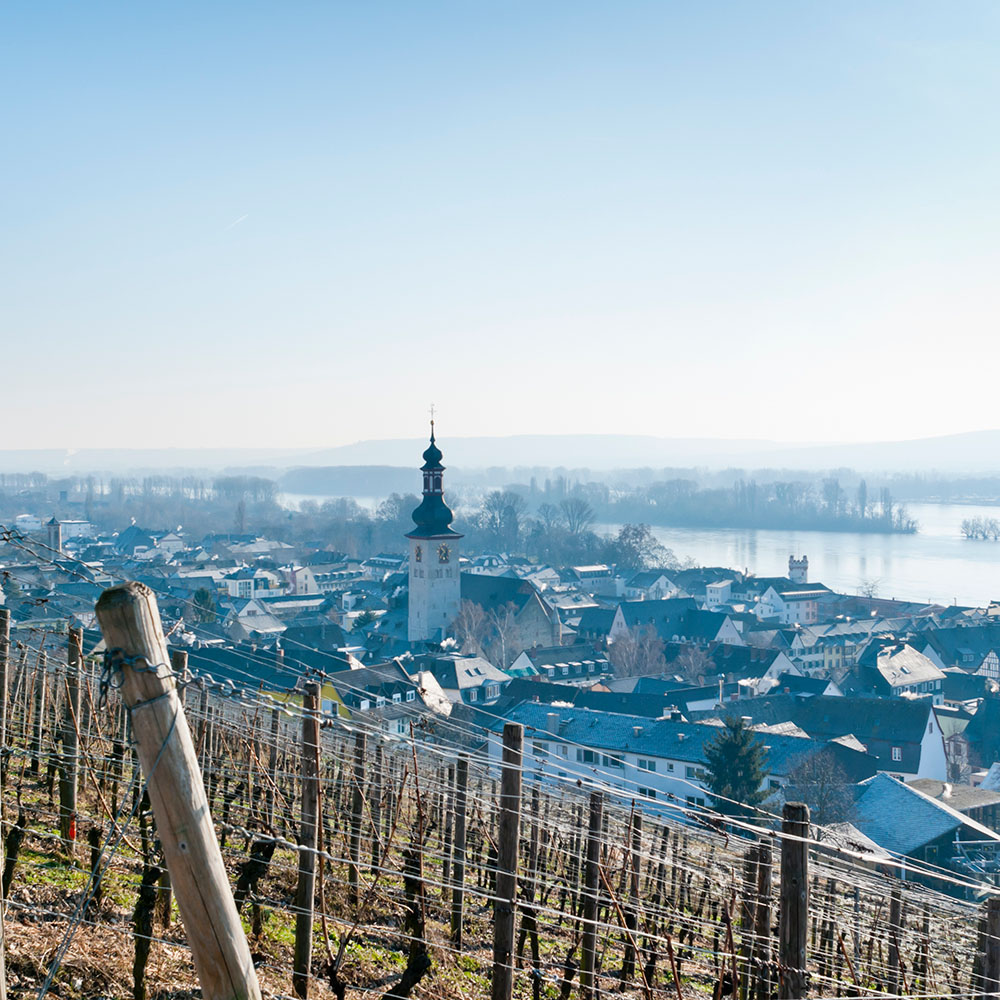 tourhub | Riviera Travel | Christmas on the Rhine 