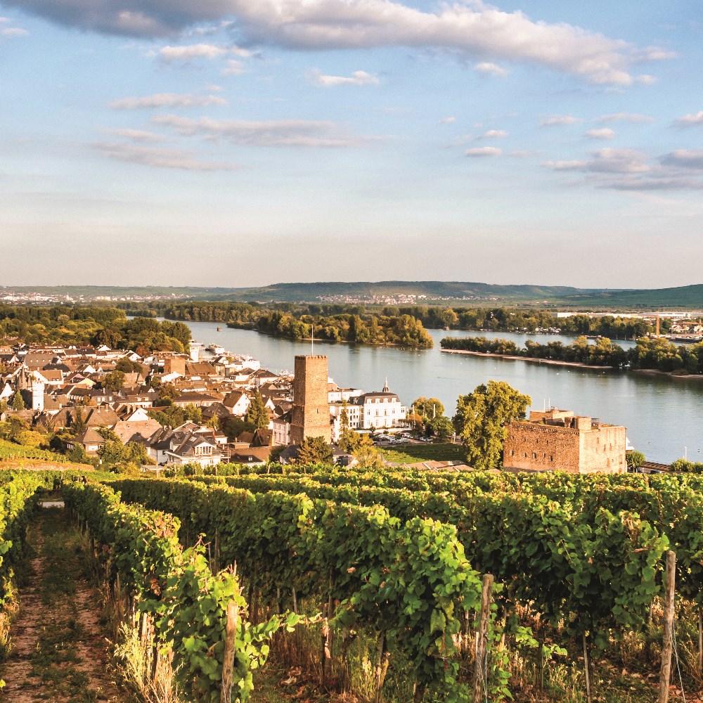 tourhub | Riviera Travel | Rhine, Strasbourg & Heidelberg River Cruise - MS Emily Brontë 