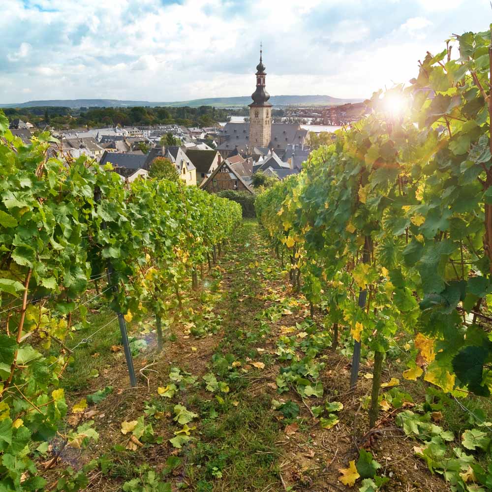 tourhub | Riviera Travel | Gardens and Natural Beauty of the Rhine - MS Emily Brontë 