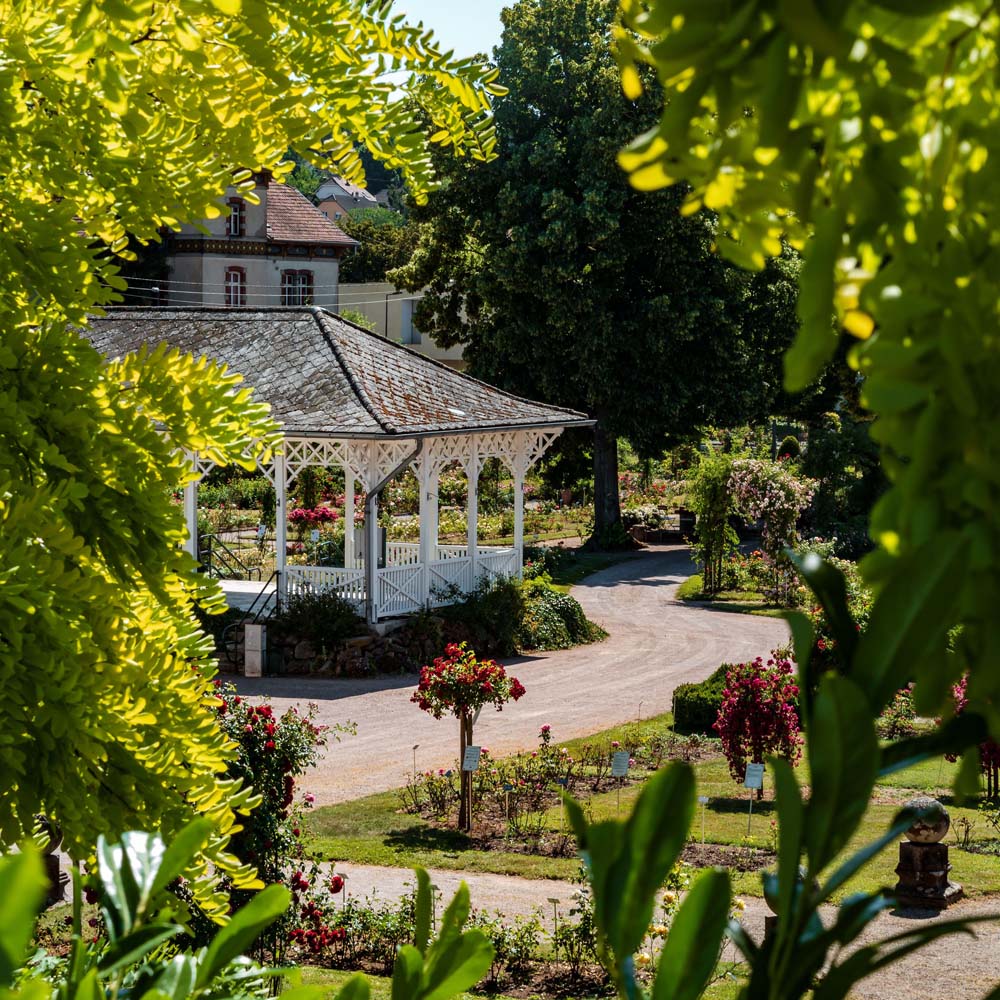 tourhub | Riviera Travel | Gardens and Natural Beauty of the Rhine - MS Emily Brontë 