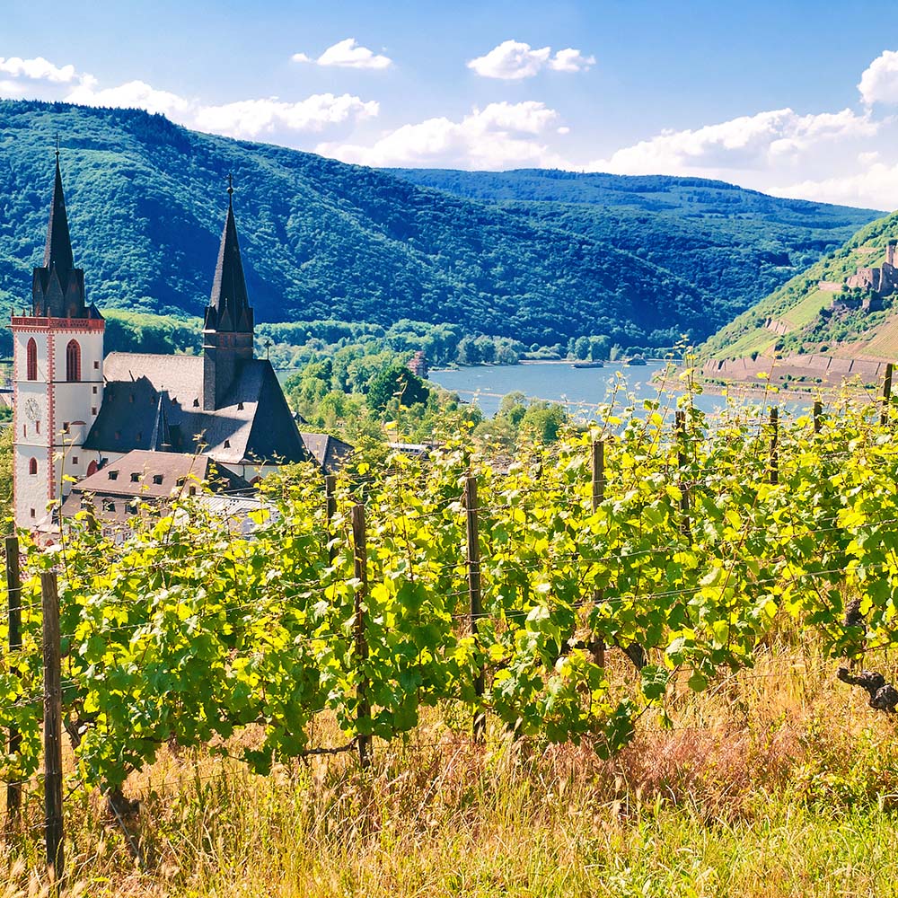 tourhub | Riviera Travel | Gastronomy of Switzerland and the Rhine - MS Emily Brontë 